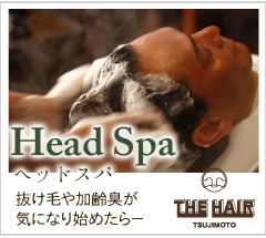 THE HAIR TSUJIMOTO�@�w�b�h�X�p