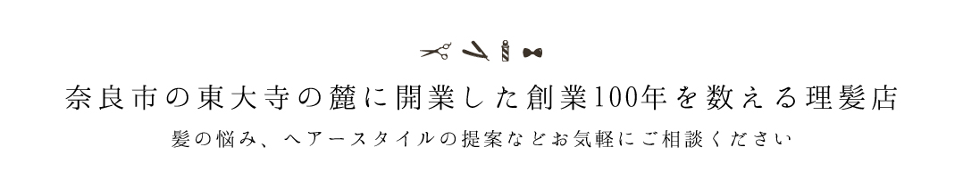 �ޗǎs ���厛�̘[�ɂ��闝���X�@�U�w�A�[�c�W���g