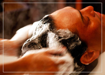 �U�w�A�[�c�W���g�@�w�b�h�X�p�@�C���[�W1