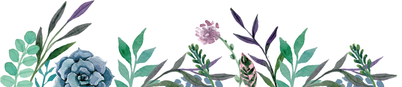 �U�w�A�[�c�W���g�@�C���[�W